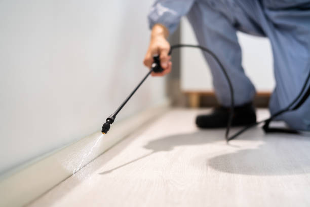 Licensed Cockroach Control service in Harper, TX - Nex Pest Control