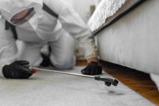 Professional Cockroach Control technician working in Harper, TX
