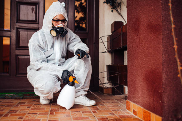 Reliable Cockroach Control contractor in Harper, TX by Nex Pest Control